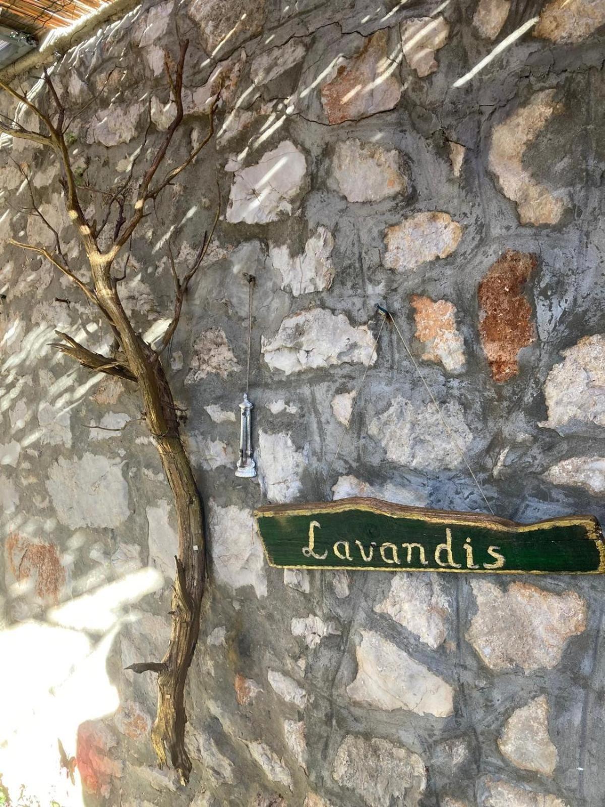 Lavandis