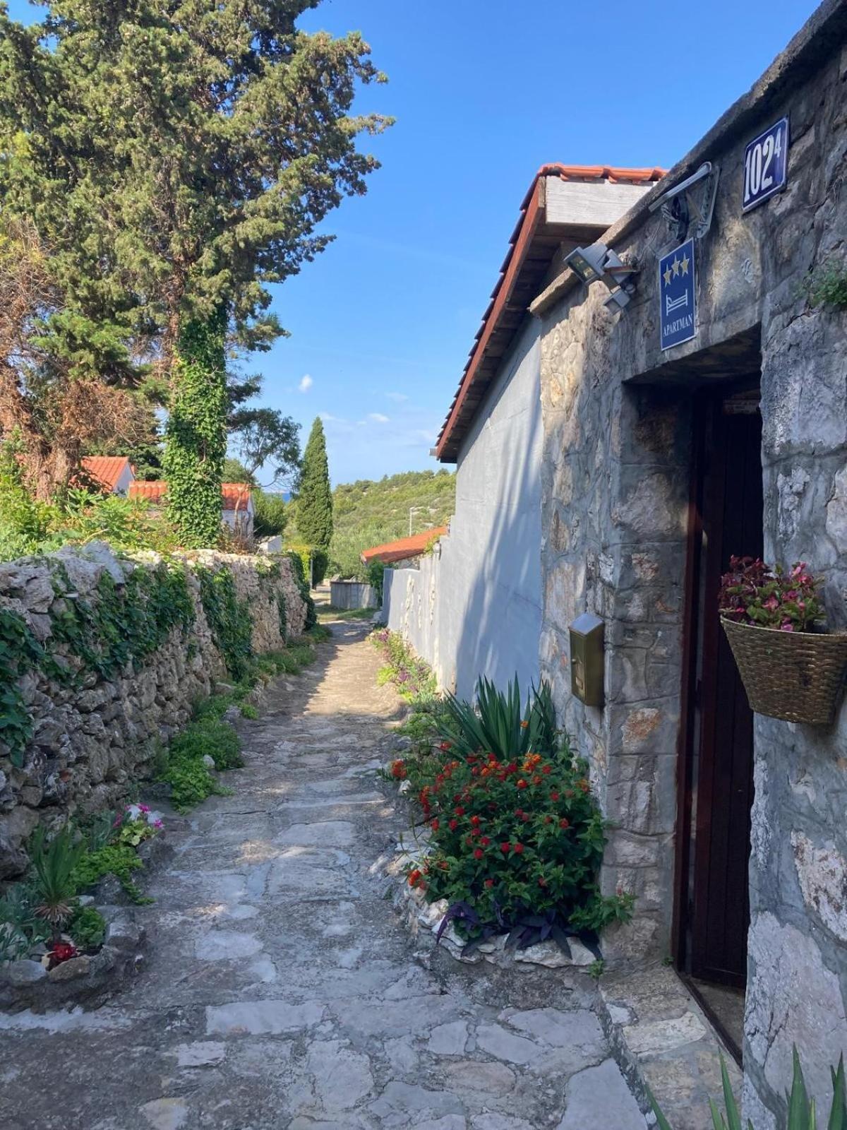 Apartment Lavandis